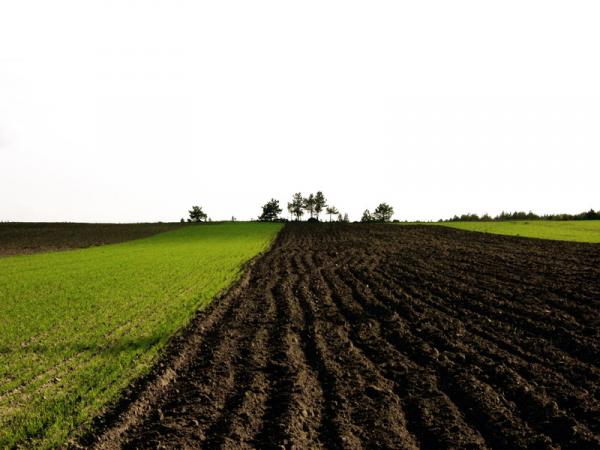 soils-and-agricultural-potential-assessment-specialists